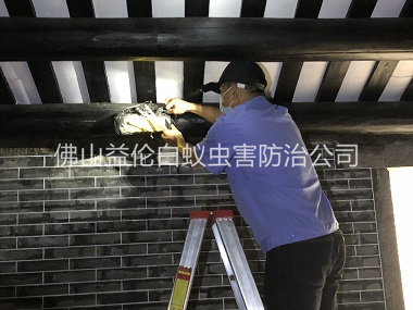 禅城祠堂杀灭白蚁工程