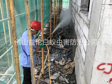 佛山建筑白蚁预防工程