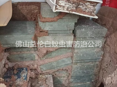 禅城防治白蚁危害工程