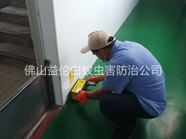 顺德工厂车间室内布置粘鼠板工程