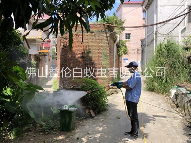 南海区村庄灭蚊预防 “两热”工程